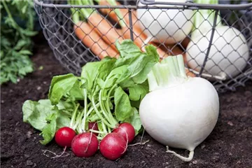 Erntegut haltbar machen Erntegut haltbar machen