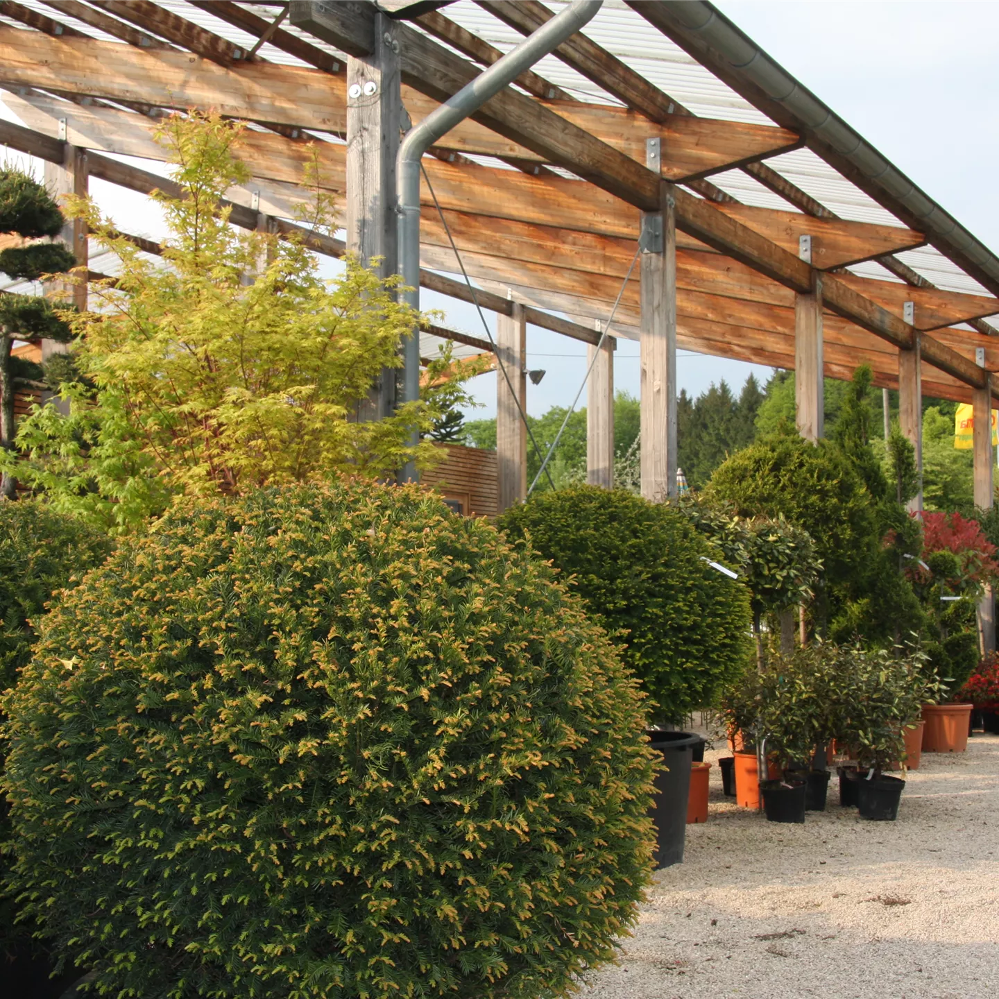 Gartenberatung im Verkaufsgarten Kremer