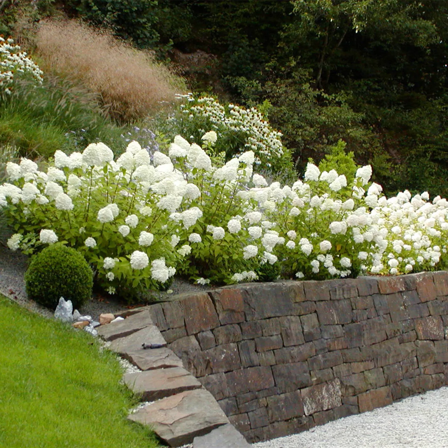 Gartenberatung im eigenen Garten