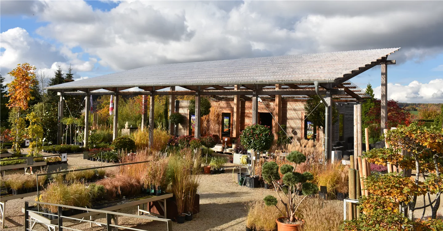 Blick auf den Verkaufsraum der Gartenbaumschule Kremer im November