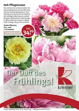 Titelseite3_25.jpg Titelseite3_25.jpg