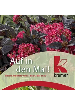 2604002 Kremer Prp5 Insta LAY01.jpg 2604002 Kremer Prp5 Insta LAY01.jpg